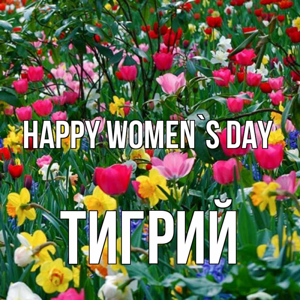 Greetings card с именем, Тигрий happy women`s day с международным женским днем поздравления для женщины Greetings with text for free download 